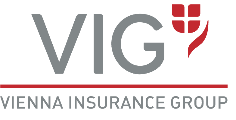 VIG Logo